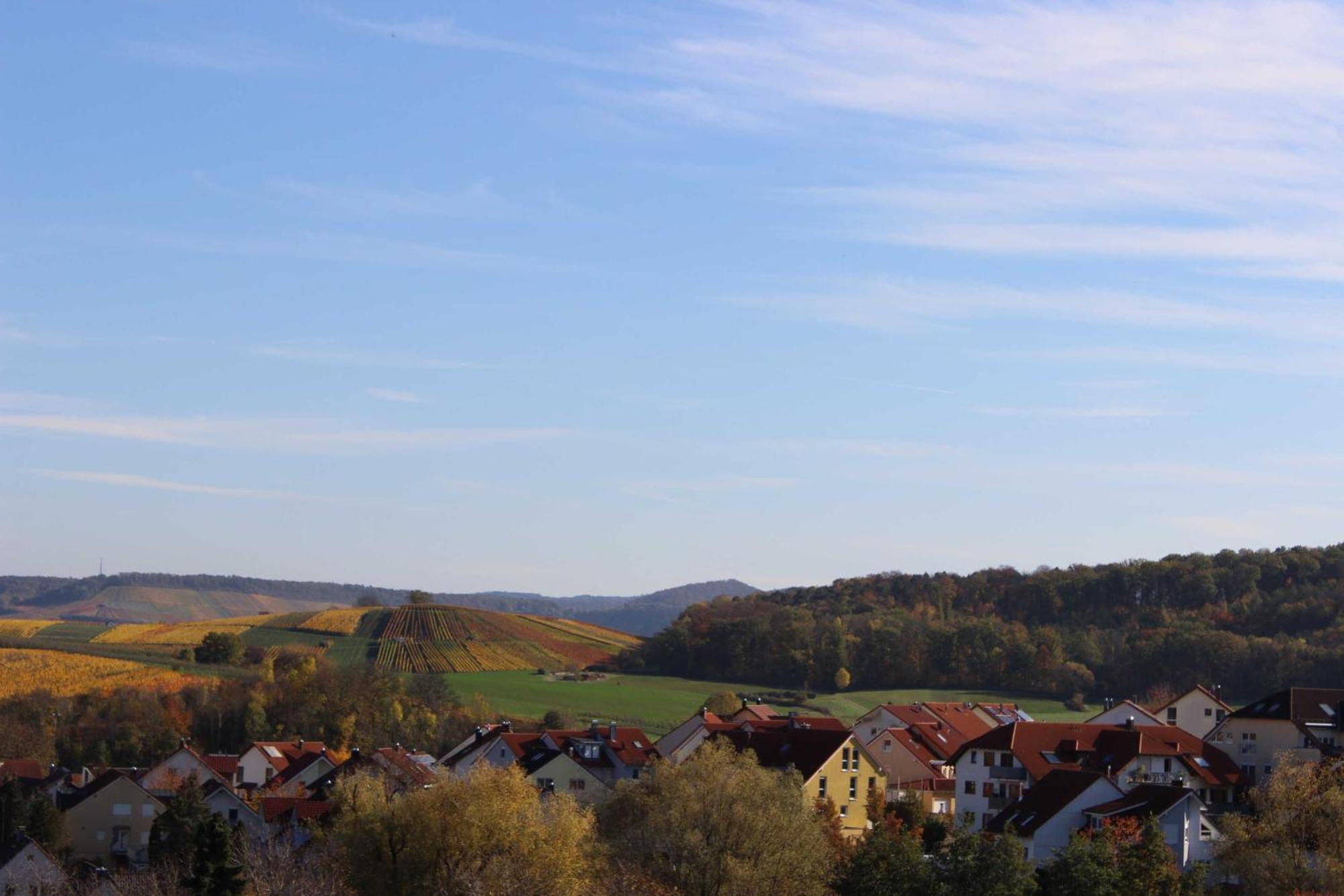 Gaestehaus Zum Wolffenturm Lehrensteinsfeld Bilik gambar