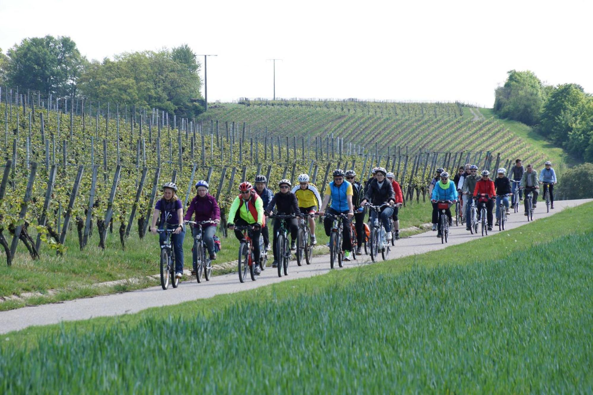 Gaestehaus Zum Wolffenturm Lehrensteinsfeld Luaran gambar