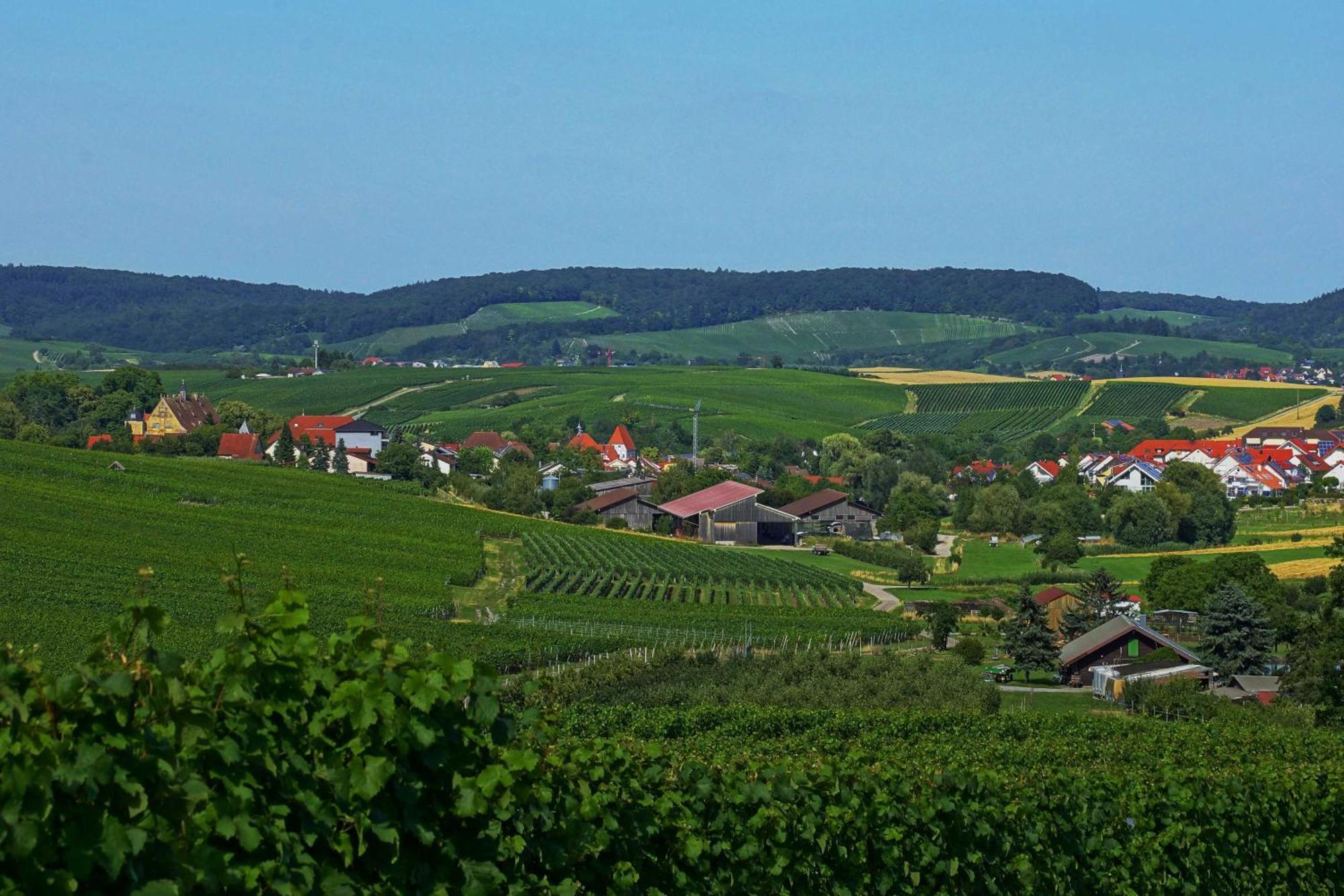 Gaestehaus Zum Wolffenturm Lehrensteinsfeld Luaran gambar