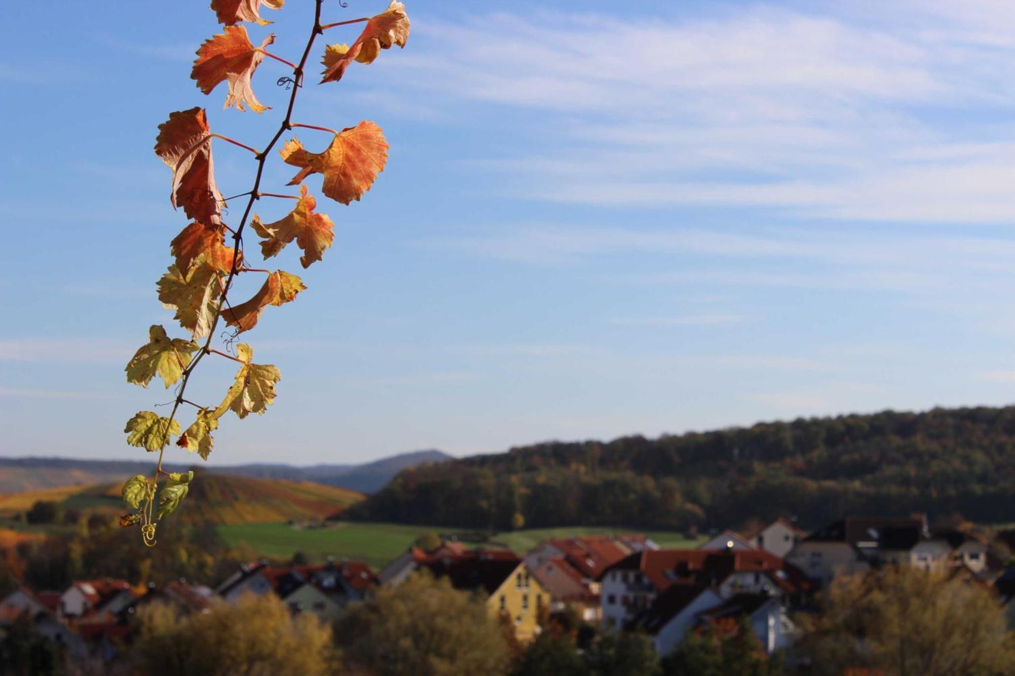 Gaestehaus Zum Wolffenturm Lehrensteinsfeld Luaran gambar